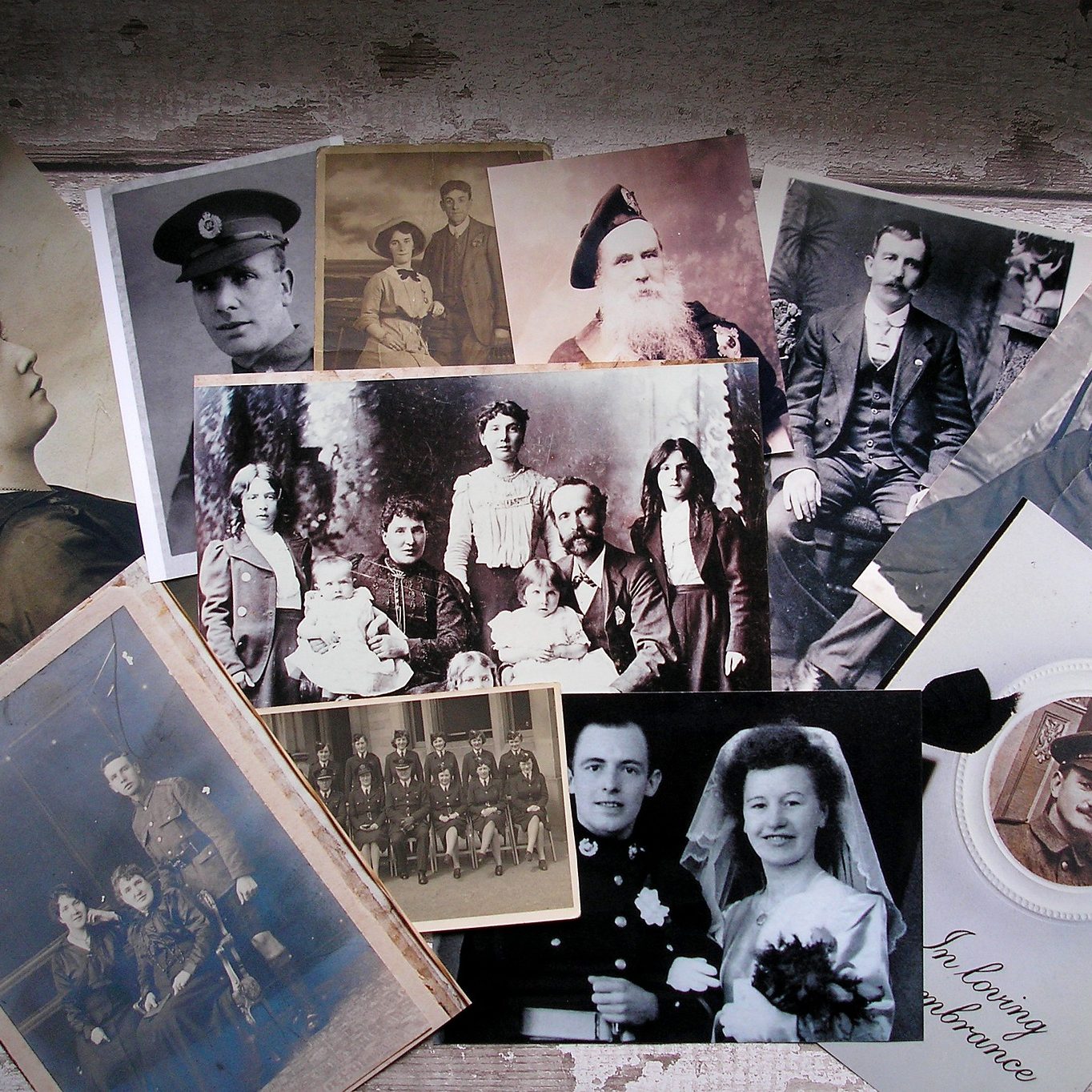 genealogy